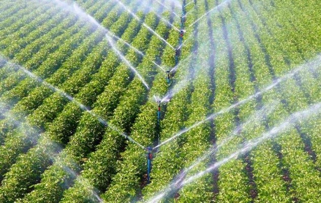 construction de systèmes d’irrigation